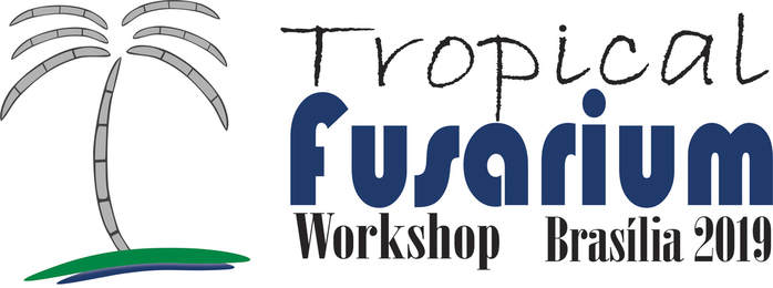 Tropical Fusarium Workshop Bras&iacute;lia 2019